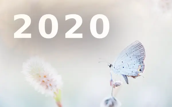 2020 Meaning: Spiritual Symbolisms and Significance