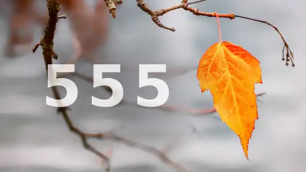 555 Meaning: Angel Number [Spiritual Guide]